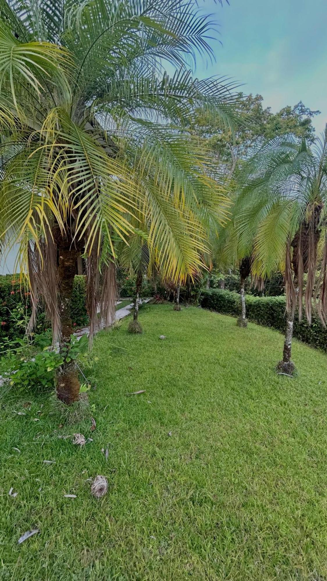 Villa Vista Mar Dominical Ngoại thất bức ảnh